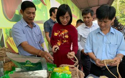 17 nội dung về đầu tư công, nông nghiệp hữu cơ… sẽ được trình tại Kỳ họp thứ 12 HĐND tỉnh Đồng Nai