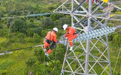 Nguyên Chủ tịch EVN: Người làm điện không muốn và không độc quyền