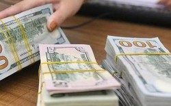 Tỷ giá USD hôm nay 14/6: FED dừng tăng lãi suất, đồng USD lao dốc