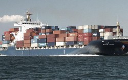 Vận tải và Dịch vụ Hàng hải (TRS) chia cổ tức năm 2022 tổng tỷ lệ 35%