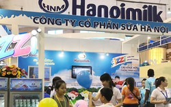 Hanoimilk muốn phát hành 14,4 triệu cổ phiếu hoán đổi nợ, đẩy mạnh marketing