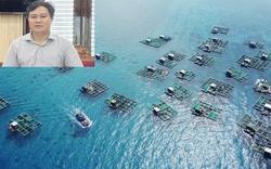 Lần đầu tiên Quảng Ngãi có doanh nghiệp đề xuất làm dự án nuôi trồng thủy sản trên biển
