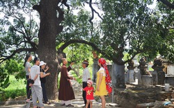 Vùng đất ở Phú Yên từng là tiểu quốc Hoa Anh, cái nôi của Phật giáo đàng Trong, khởi tích Thiên Chúa giáo