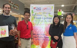 Vải thiều Bắc Giang chính thức có mặt tại các siêu thị, chợ châu Á ở thành phố lớn thứ tư nước Mỹ