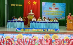 Bình Thuận: Bí thư Đảng ủy thị trấn Liên Hương trúng cử chức Chủ tịch Hội Nông dân huyện Tuy Phong