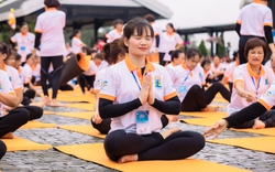 Ngày Quốc tế Yoga lần thứ 9: Tăng cường quan hệ hợp tác giữa 2 nước Việt Nam - Ấn Độ