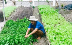 Trồng bao nhiêu loại rau xung quanh nhà mà một nông dân ở Cà Mau có thu nhập 20 triệu/tháng?