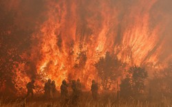 Clip: Tây Ban Nha chật vật với nắng nóng, cháy rừng nhiều nơi do tác động của biến đổi khí hậu