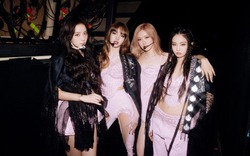 Sao Việt nô nức săn vé Blackpink, người hâm mộ mách nhau kinh nghiệm đi concert