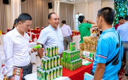 Khánh Hòa: Doanh nghiệp trẻ đẩy mạnh kết nối nông nghiệp với du lịch