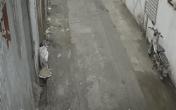 Clip NÓNG 24h: Chạy từ trong nhà ra ngõ, nam thanh niên tại Hà Nội bị xe tải tông tử vong