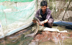 Nông dân sản xuất kinh doanh giỏi người Khmer ở Sóc Trăng thành công với mô hình trồng đa cây, nuôi đa con