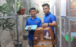 Cầm bằng cử nhân luật từ Sài Gòn về Đắk Lắk, chàng trai nuôi thứ chim đột biến bán đắt như vàng