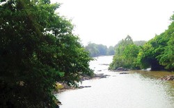 Dòng sông chảy qua một thị xã ở Bình Thuận chưa đầy 10km, đá chồng chất, già, trẻ ra sông nổi lửa hát hò