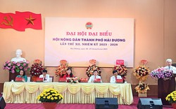Đại hội Đại biểu Hội nông dân TP Hải Dương, bà Nguyễn Hải Yến tái đắc cử chức Chủ tịch