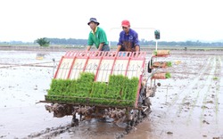 Vì sao vùng đồng bằng sông Hồng vẫn khó đưa máy bay không người lái, máy cấy vào trồng lúa? 