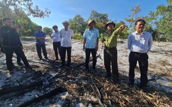 Giám đốc Sở NNPTNT Quảng Nam: “Không có chuyện đem rừng phòng hộ ra đốt để diễn tập”