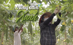 NÔNG THÔN XANH: "Xuất khẩu" thông điệp bảo vệ môi trường qua những sản phẩm từ xơ mướp