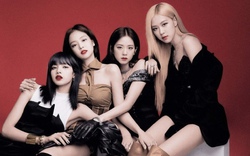 BTC concert BLACKPINK tại Hà Nội: "Không hề có vé tuồn ra thị trường"