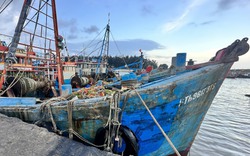 Công an đang điều tra 2 người tử vong khi làm việc trên tàu ở cảng cá La Gi
