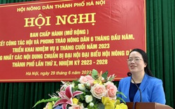 Hội Nông dân TP Hà Nội sơ kết công tác Hội và phong trào nông dân 6 tháng đầu năm 2023