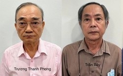Cựu Chủ tịch và cựu Tổng giám đốc Lương thực Miền Nam bị bắt, khung hình phạt tội danh này thế nào?