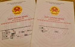 Quảng Nam: Cảnh cáo Phó Chủ tịch xã Tam Mỹ Đông vì thiếu trách nhiệm để xảy ra hành vi tham nhũng