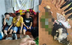 Vụ "bắn nhầm" dê của dân ở Hà Nội: Lãnh đạo Công an Hà Nội nói không chấp nhận được
