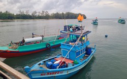 Từ 1/7 tỉnh Kiên Giang cấm khai thác một số loài hải sản đến cuối năm 2023