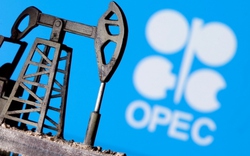 OPEC + xem xét cắt giảm sâu sản lượng dầu