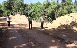 Phó Thủ tướng Chính phủ hoả tốc chỉ đạo kiểm tra vụ phá rừng tự nhiên Kfw6 tại Quảng Ngãi