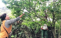 Khó khăn trong xây dựng nông thôn mới tại xã vùng cao Bắc Kạn