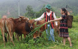 Bộ trưởng, Chủ nhiệm Ủy ban Dân tộc: Hiện tượng nhiều người dân vùng dân tộc thiểu số không muốn thoát nghèo là có thật