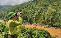 Mường Tè tăng cường công tác quản lý, bảo vệ rừng