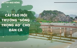 SỔ TAY NHÀ NÔNG: Hướng dẫn cải tạo môi trường của mô hình nuôi cá 'sông trong ao" 