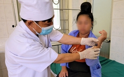Đã có 14 người ở Hà Giang, Điện Biên mắc bệnh than lây từ trâu, bò, Cục Thú y đưa ra khuyến cáo