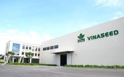 Vinaseed (NSC) chốt ngày tạm ứng cổ tức đợt 1/2022 bằng tiền, tỷ lệ 20%