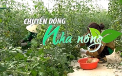 Chuyển động Nhà nông 01/7: Ngày Quốc tế Hợp tác xã 2023 - HTX là động lực phát triển bền vững