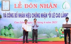 Một giống ổi của tỉnh Đồng Tháp được cấp nhãn hiệu chứng nhận