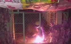 Đối tượng liều lĩnh ném "bom xăng" vào nhà dân vì bị nhắc nhở do tiểu bậy ở Bình Thuận