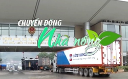 Chuyển động Nhà nông 11/7: Khôi phục toàn diện xuất nhập khẩu qua cửa khẩu Lào Cai