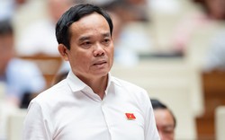 Phó Thủ tướng Trần Lưu Quang được giao thêm nhiệm vụ mới thay Phó Thủ tướng Trần Hồng Hà