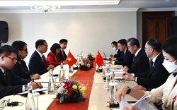 Đề nghị Trung Quốc duy trì thông quan thông suốt cho nông sản Việt Nam