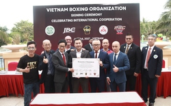 Thành lập Tổ chức Quyền Anh Việt Nam: Cơ hội cho các võ sĩ chuyên nghiệp