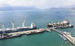 Cảng Cam Ranh (CCR): Lãi 6 tháng giảm 20,8%, trữ tiền tăng mạnh