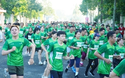 Khai mạc giải Marathon tỉnh Hậu Giang: 9.000 vận động viên tranh tài qua những cung đường xanh mướt