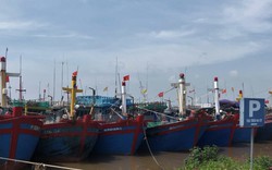 Tránh trú bão số 1-bão Talim, tỉnh Nam Định kêu gọi tàu thuyền vào bờ