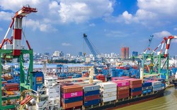 Chi phí vận chuyển container Bắc - Nam đắt gấp đôi đi Mỹ