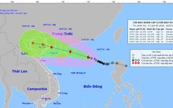 Thủ tướng yêu cầu tập trung ứng phó với bão số 1