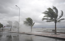 Thủ tướng Chính phủ Phạm Minh Chính ban hành Công điện chỉ đạo sẵn sàng ứng phó với bão số 1